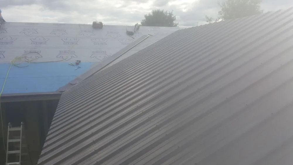 Slide of The Roof Sharks