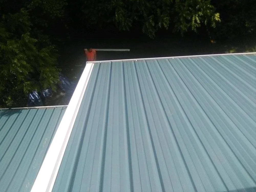 Slide of The Roof Sharks