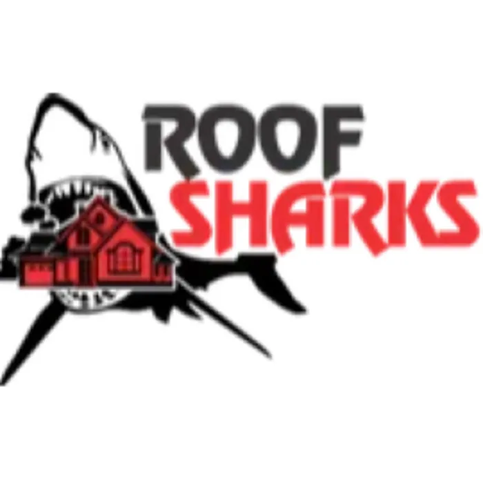 Slide of The Roof Sharks