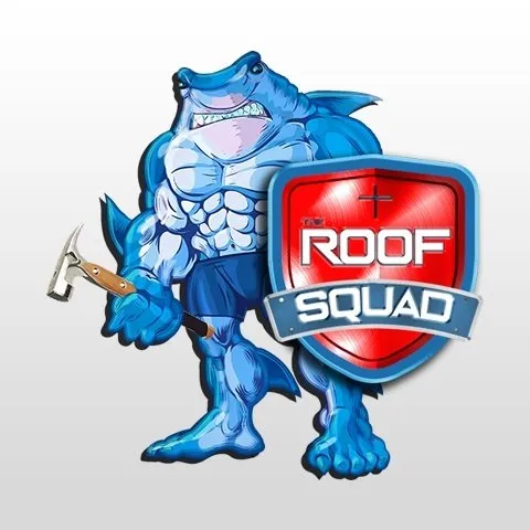 Slide of The Roof Squad
