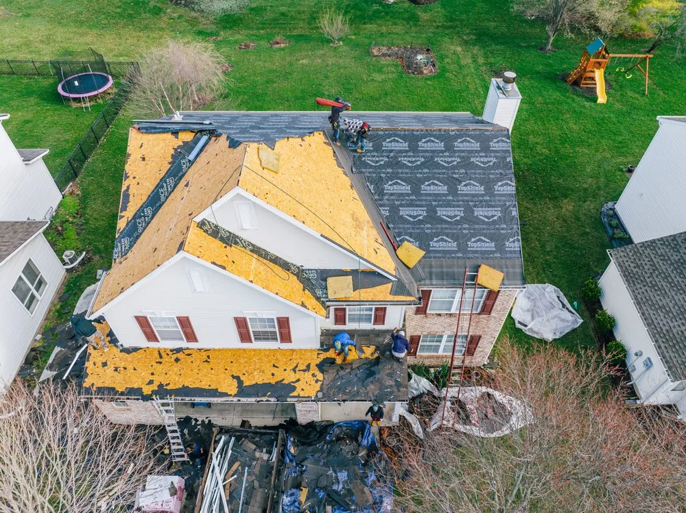 Slide of The Roof Squad