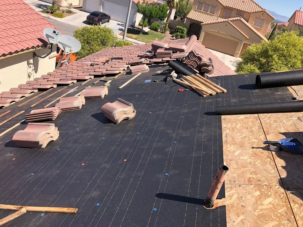 Slide of The Roof Surgeon