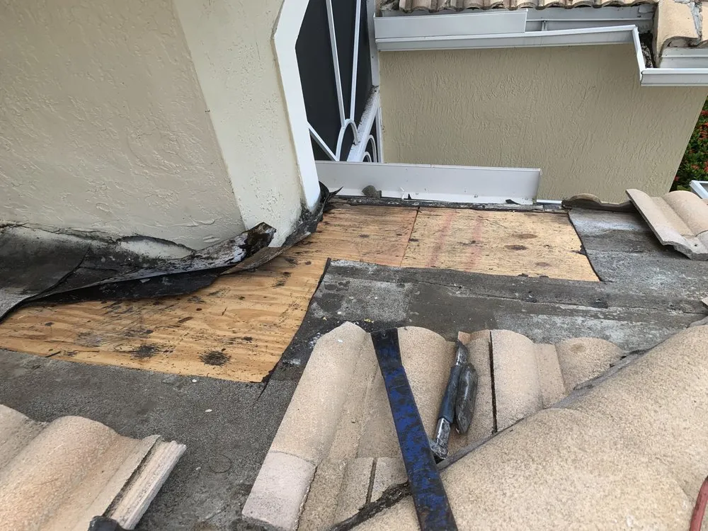 Slide of The Roof Wizard