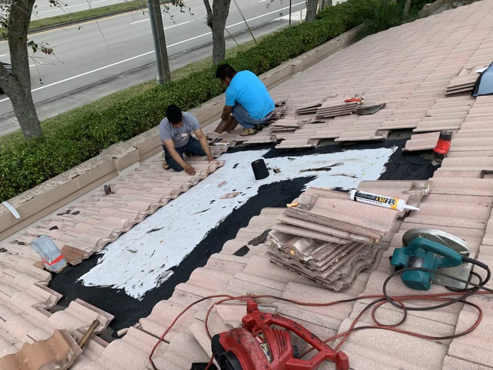 Slide of The Roof Wizard