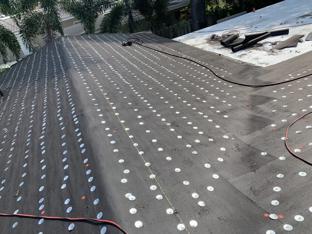 Slide of The Roof Wizard