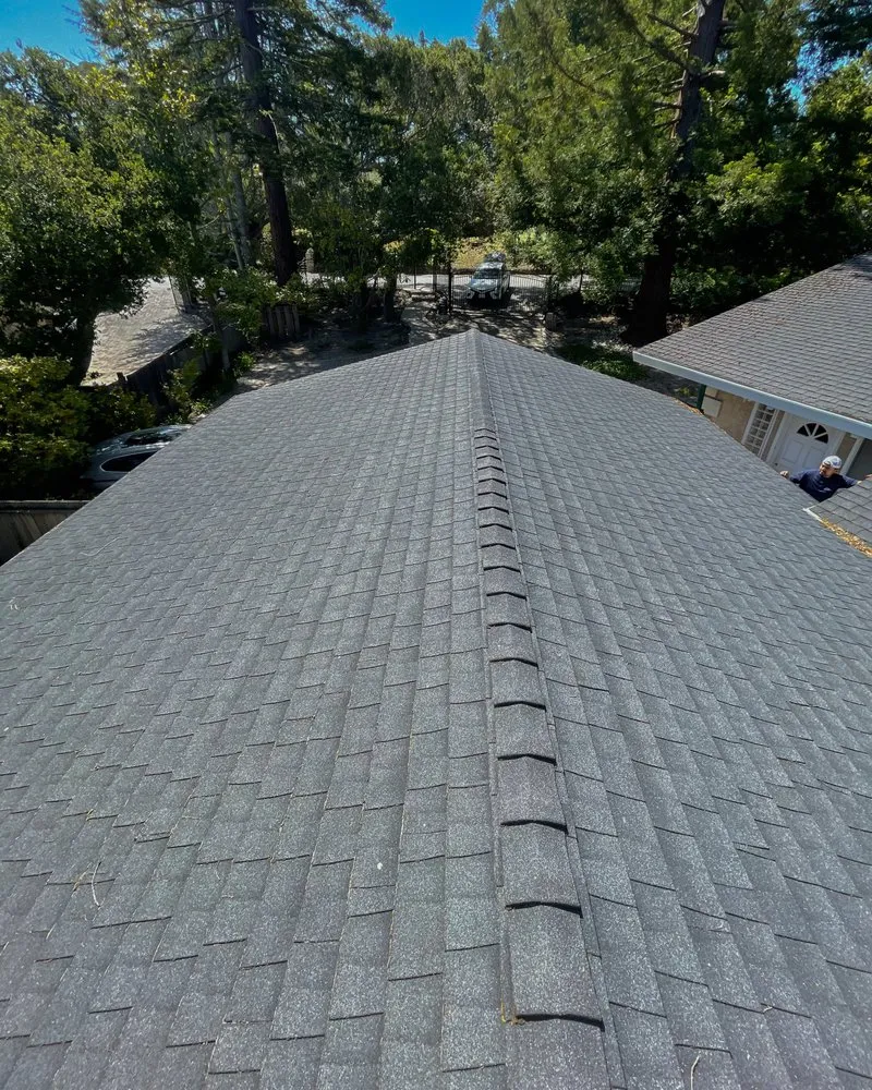 Slide of The Roofer Bros