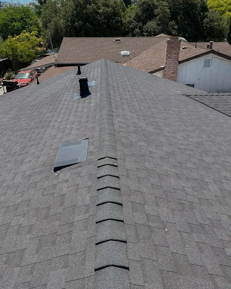 Slide of The Roofer Bros