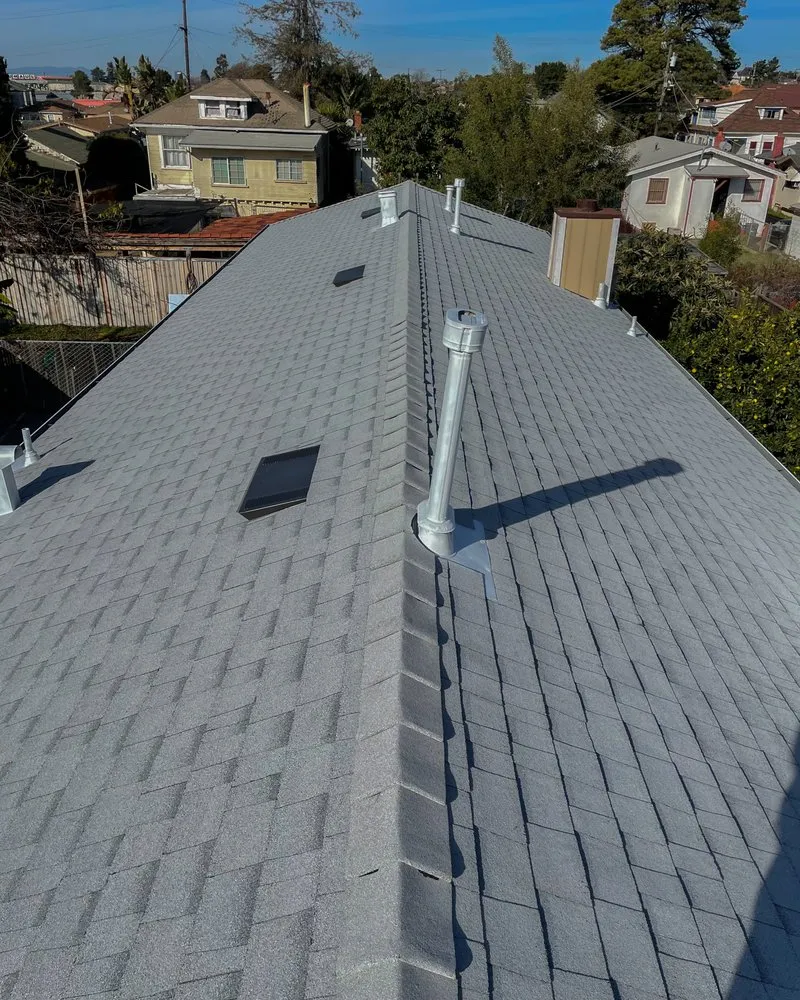 Slide of The Roofer Bros