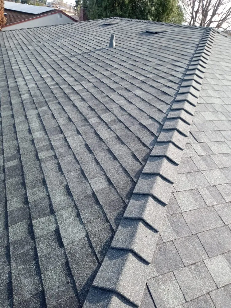 Slide of The Roofer Bros