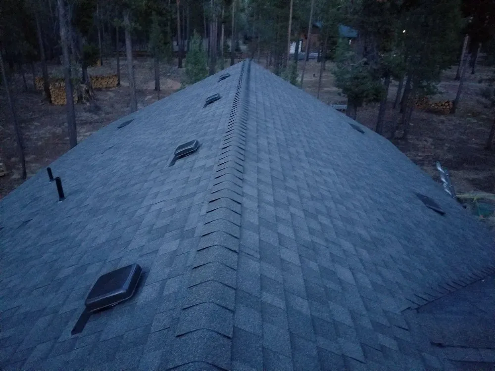 Slide of The Roofers