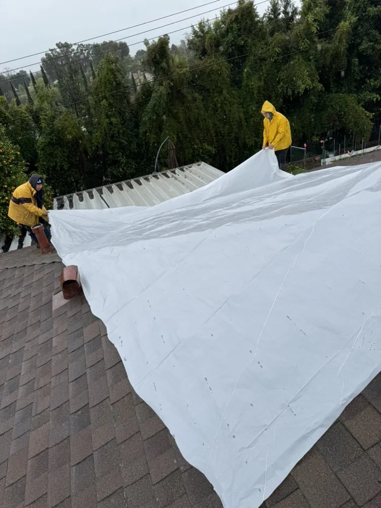 Slide of The Roofers