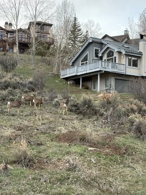 Slide of The Roofing Company