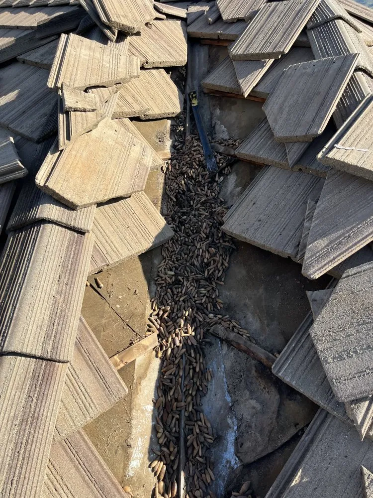 Slide of The Roofing Crew