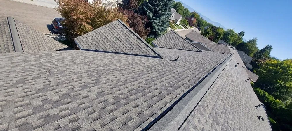 Slide of The Roofing Experts