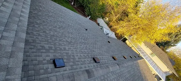 The Roofing Experts