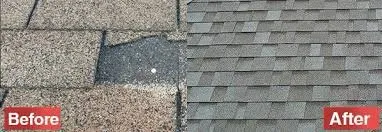 Slide of The Roofing Experts