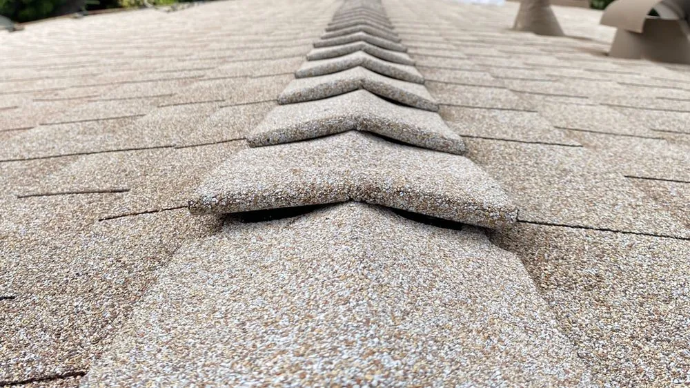 Slide of The Roofing Lady