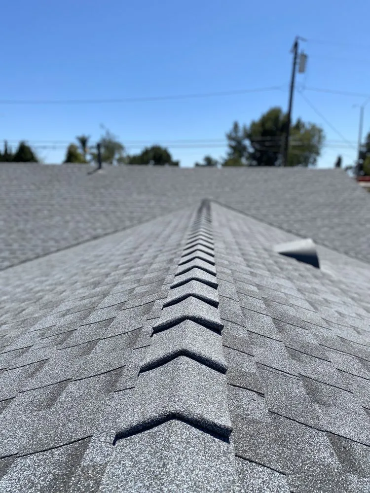 Slide of The Roofing Lady