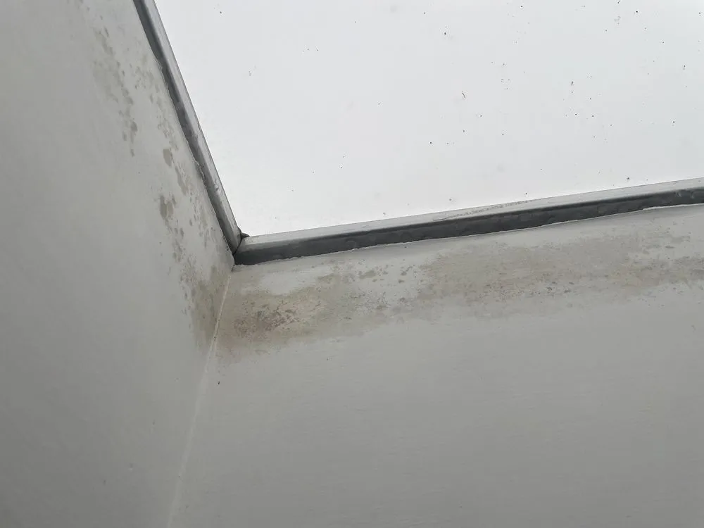 Slide of The Roofing Lady