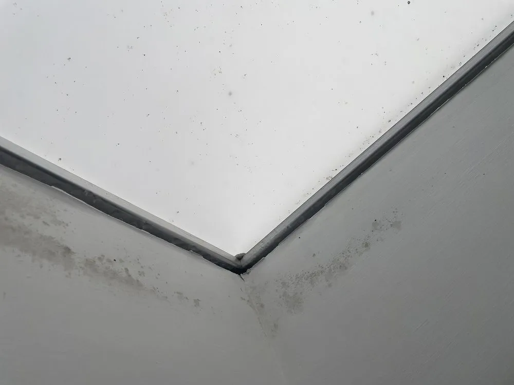 Slide of The Roofing Lady