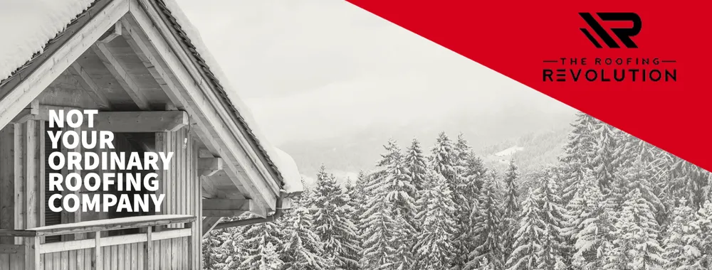 Slide of The Roofing Revolution