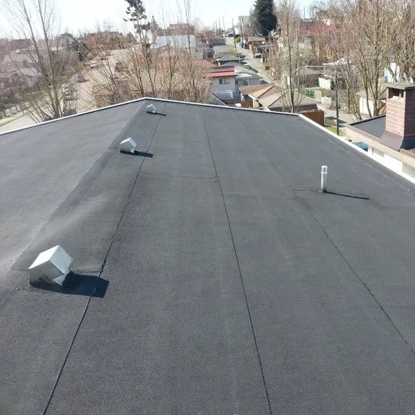 Slide of The Roofologist