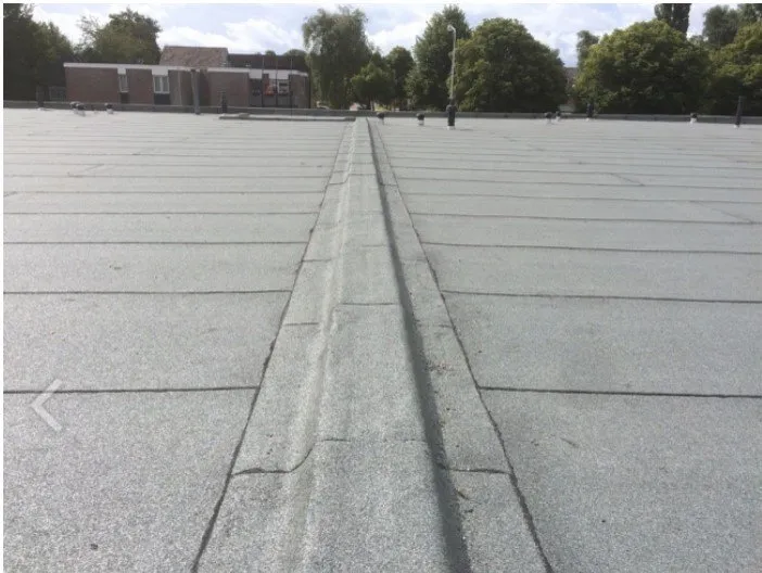 Slide of The Roofologist