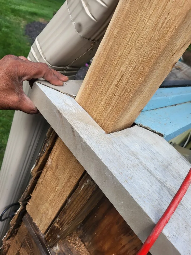 Slide of The Rooof Goat