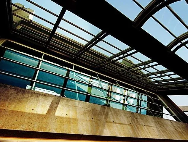 Slide of The Schmand