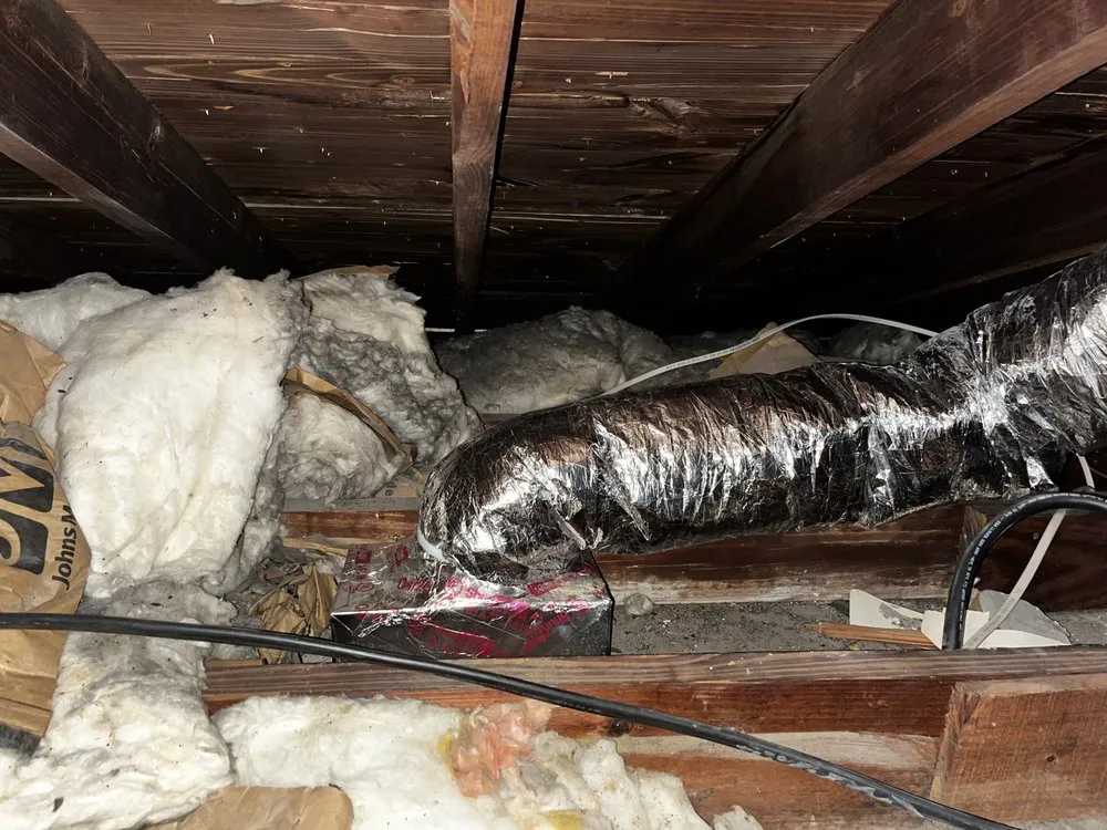 Reliable roof inspection experts serving St. Petersburg, FL - The Service Pros