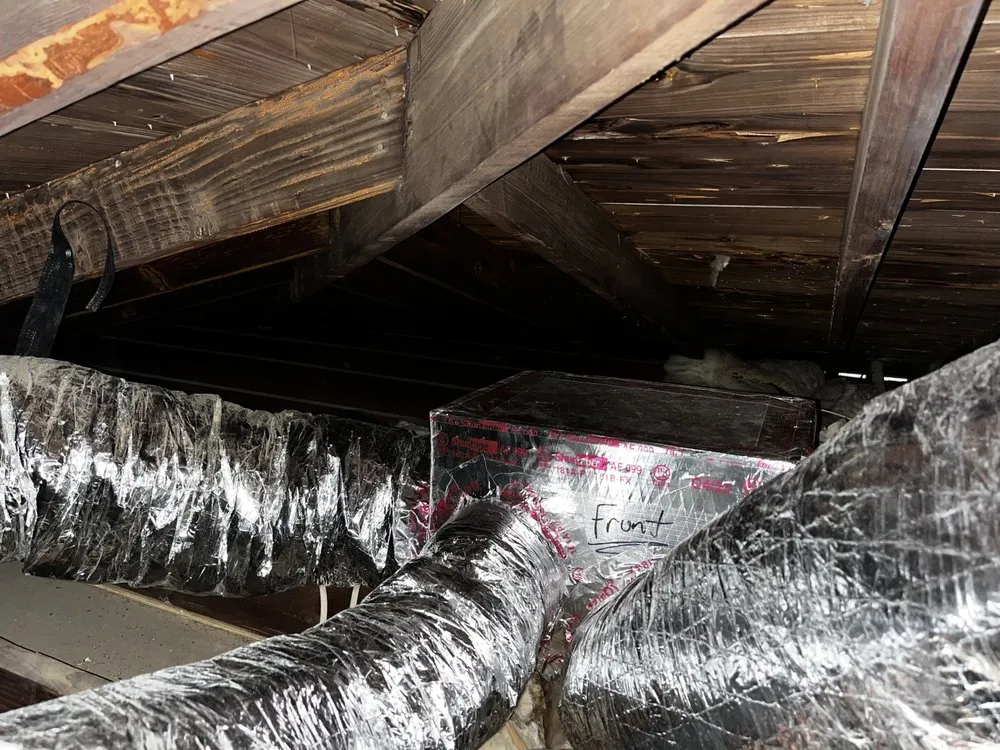 Local roof replacement experts serving St. Petersburg, FL - The Service Pros