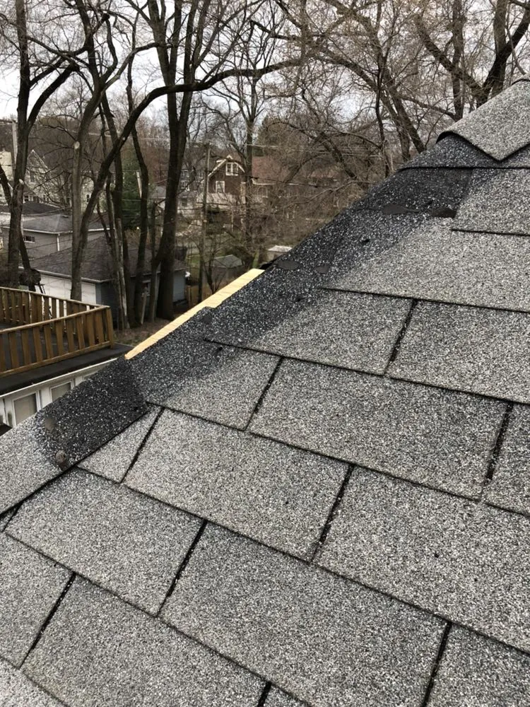 Slide of The Shingle Company