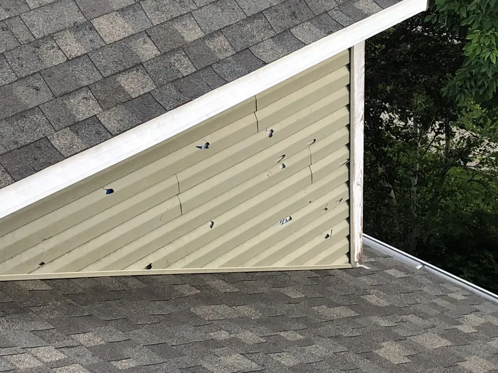 Slide of The Shingle Company