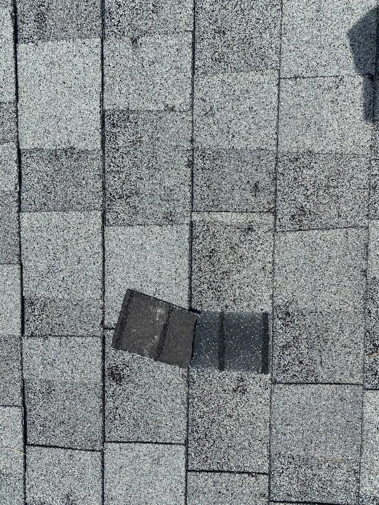 Slide of The Shingle Master