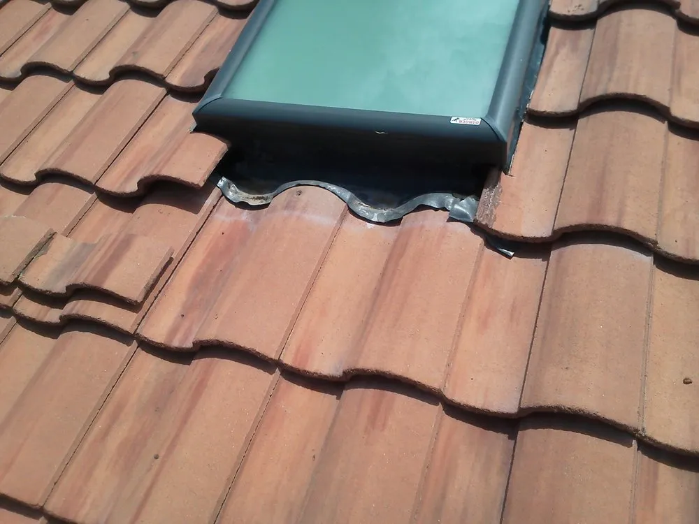 Slide of The Skylight Specialist