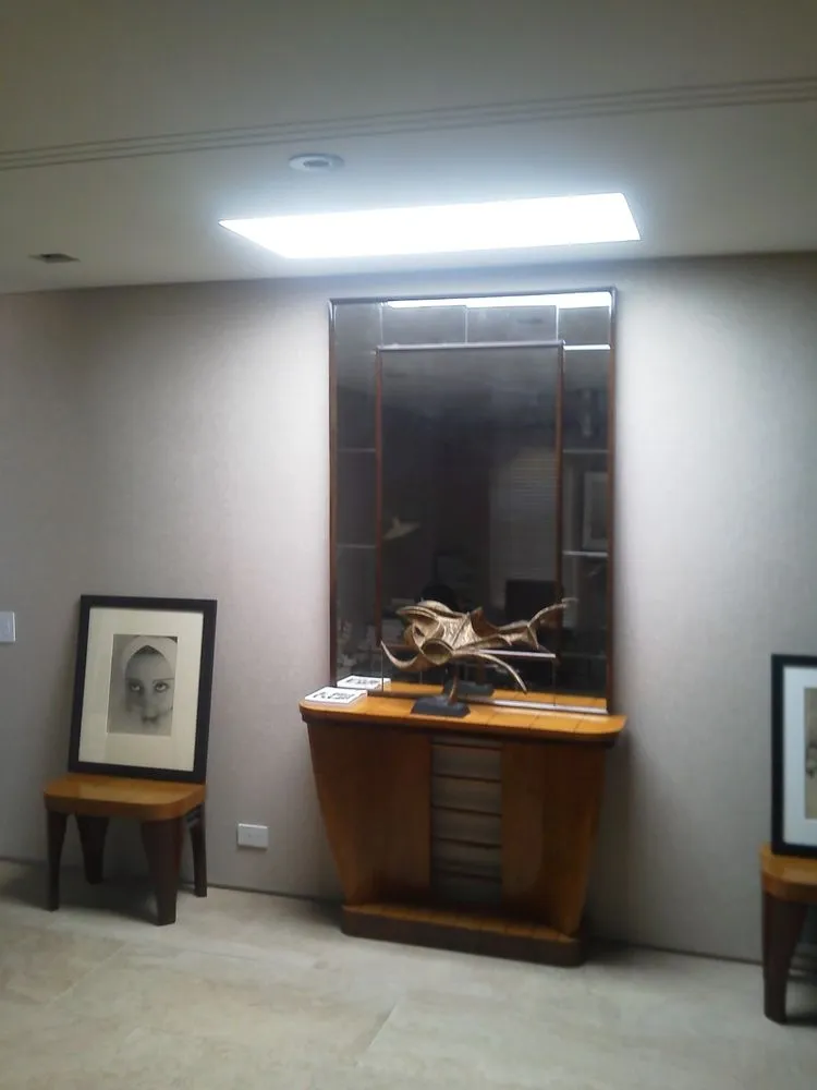 Slide of The Skylight Specialist