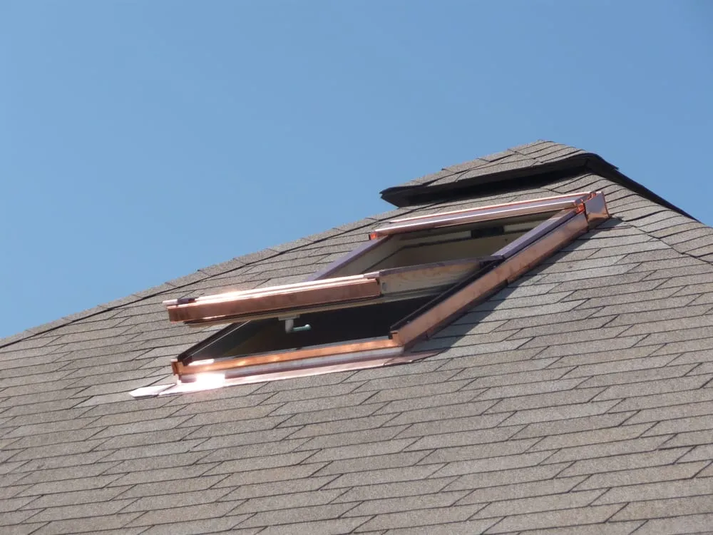 Slide of The Skylight Specialist