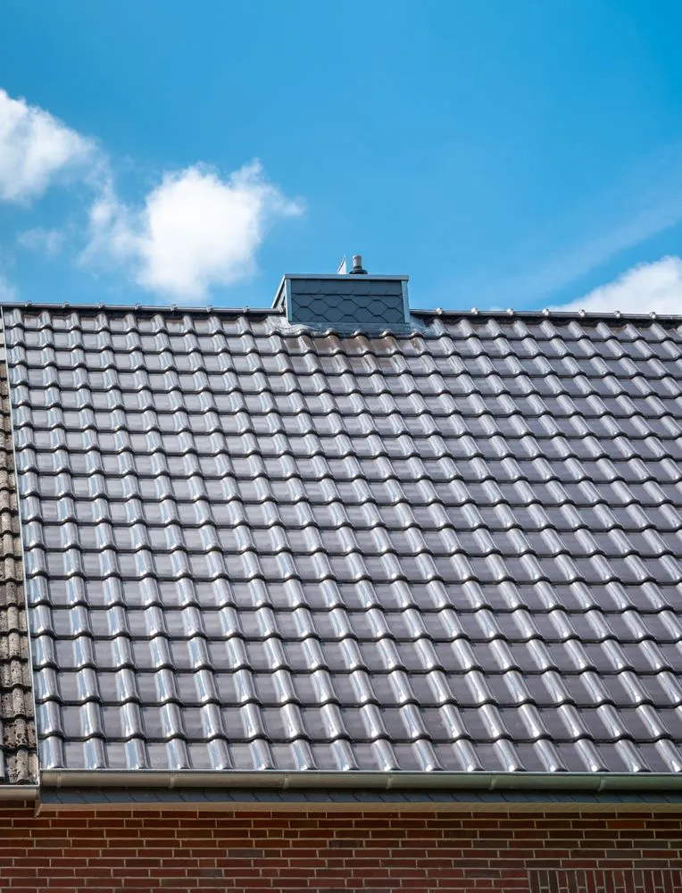 Slide of The Skyline Pros