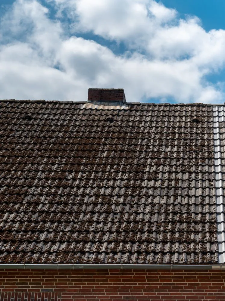 Slide of The Skyline Pros