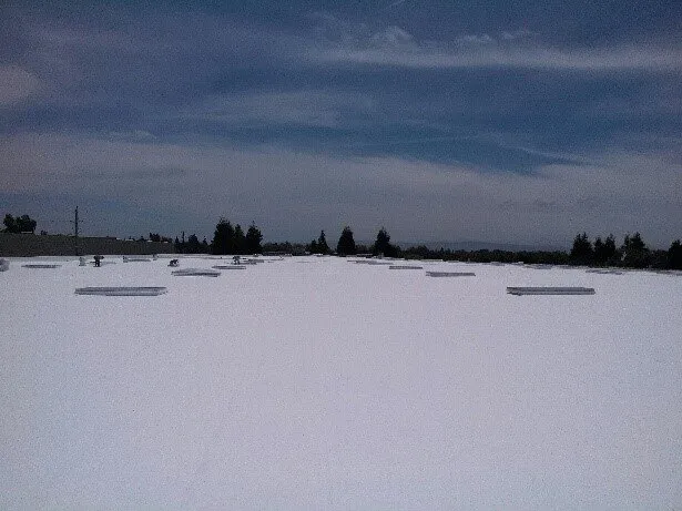 Slide of The Sullivan Group