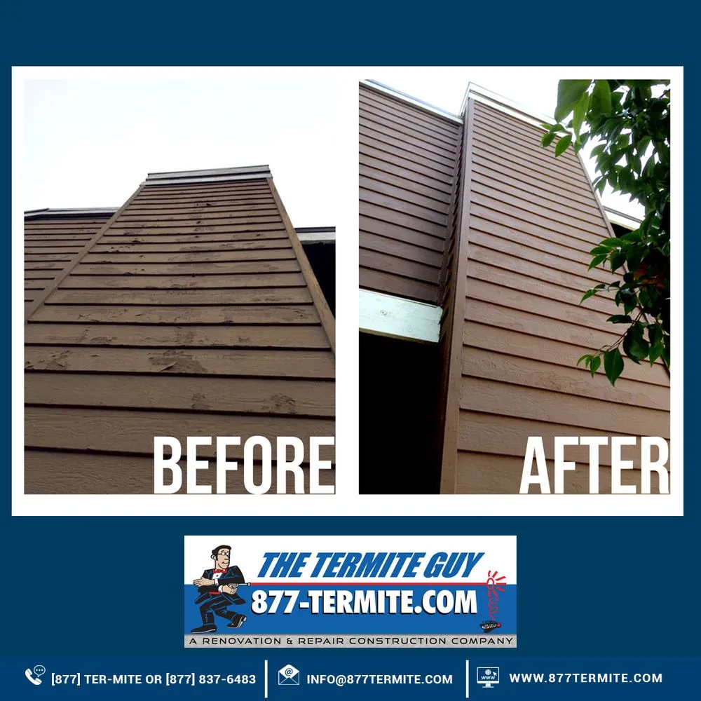 Slide of The Termite Guy