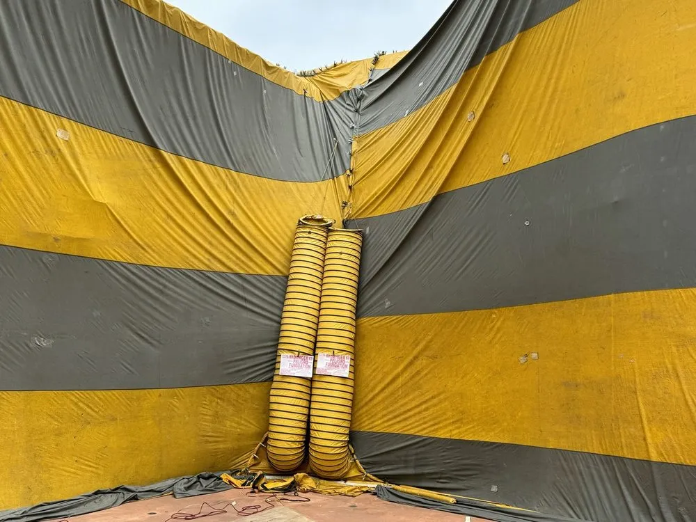 Slide of The Termite Guy