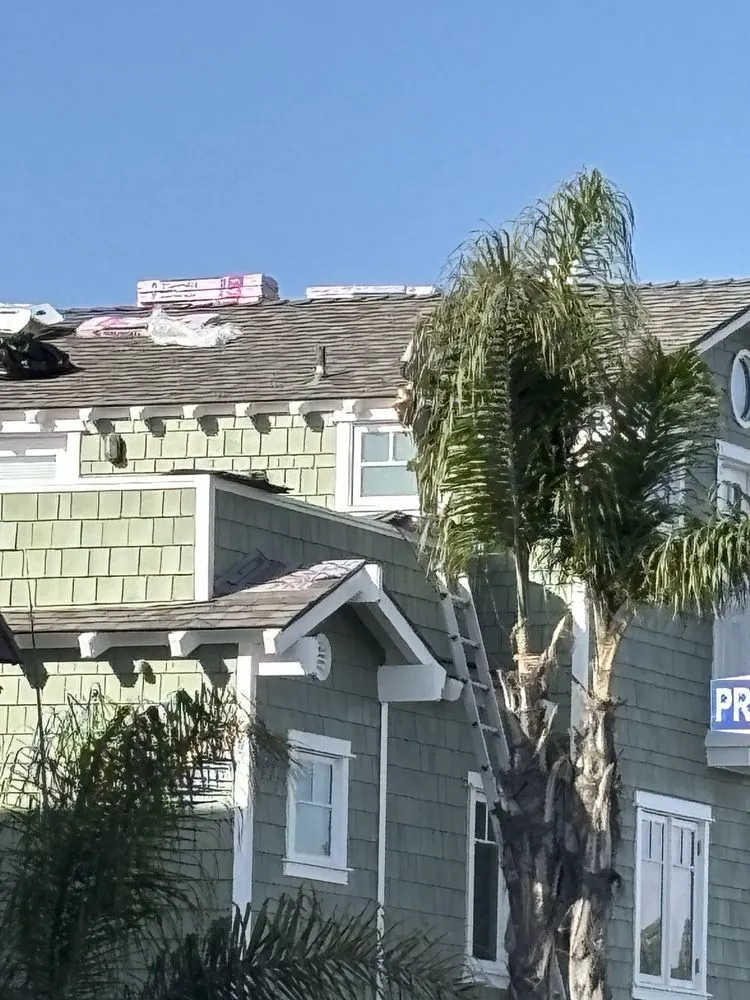 Slide of The Termite Guy