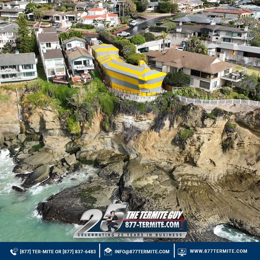 Slide of The Termite Guy