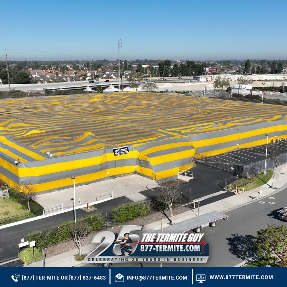 Slide of The Termite Guy