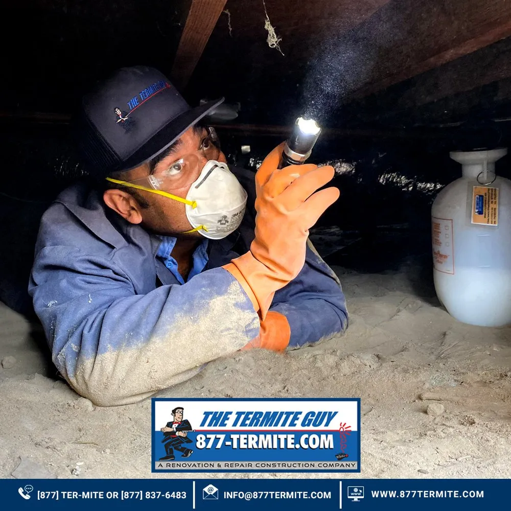 Slide of The Termite Guy