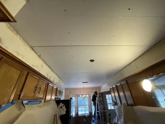 The Texan Construction & Services Logo