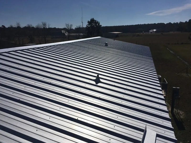 Slide of The Thrashers