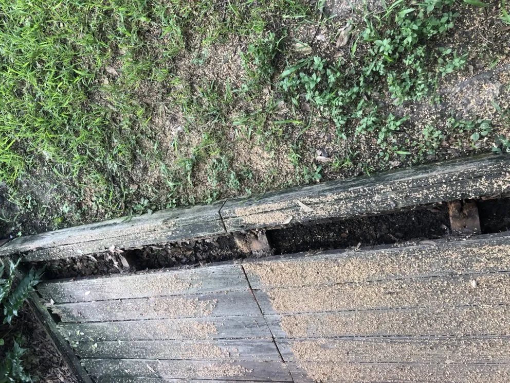 Slide of The Thrashers