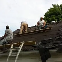 Slide of The Trim Wright